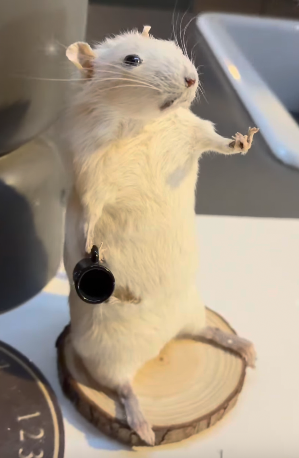 Albert
