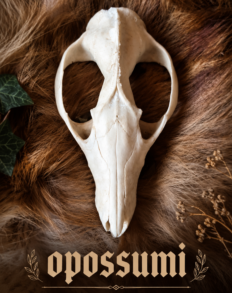 Opossumi