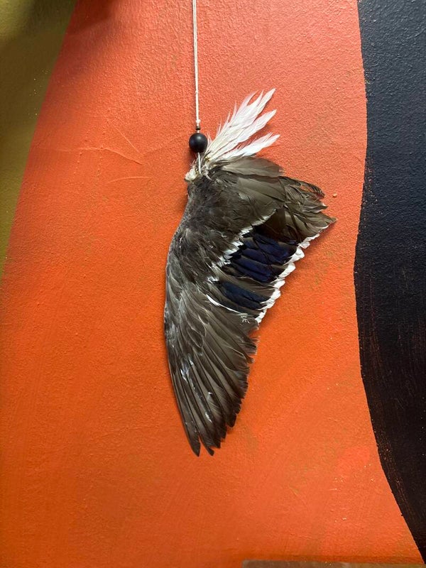 Sorsan siipi narulla