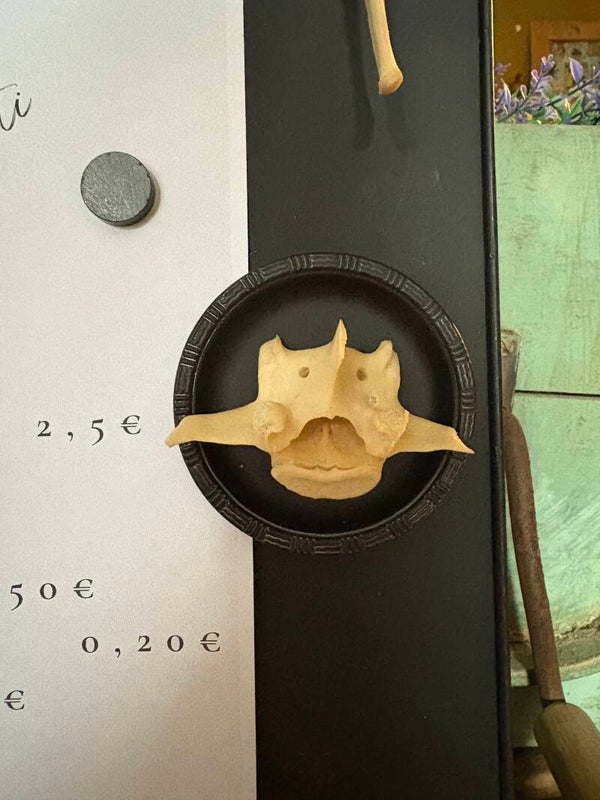 Magneetti