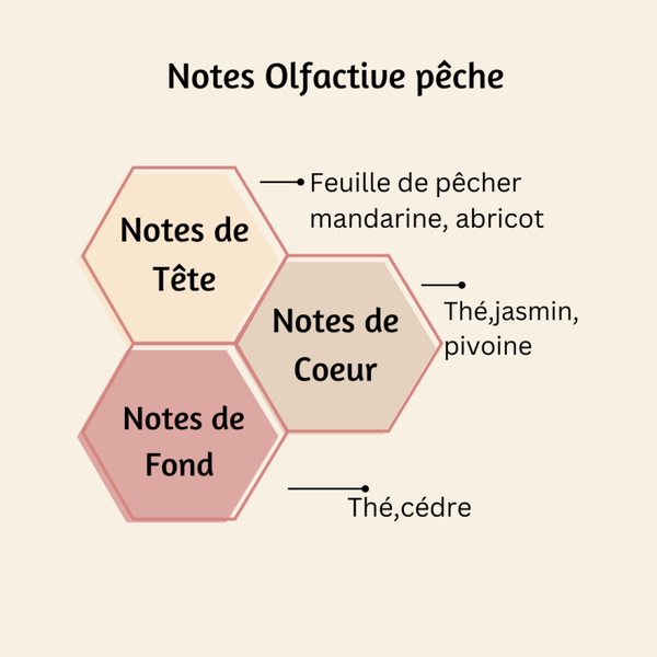 Snapbar Pêche