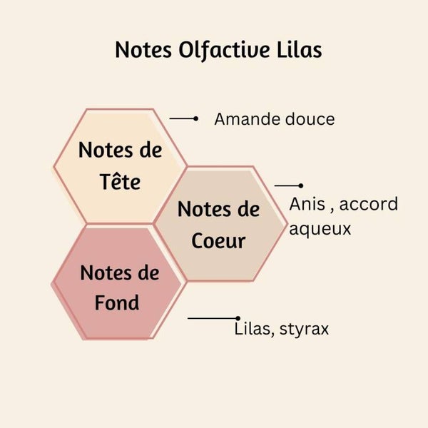 Snapbars LILAS