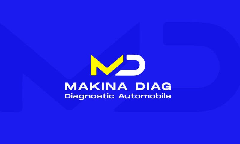 Makina Diag diagnostic automobile clé de voiture programmation suppression désactivation AdBlue FAP EGR 