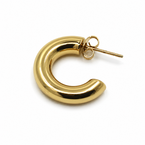 the big hoops earring