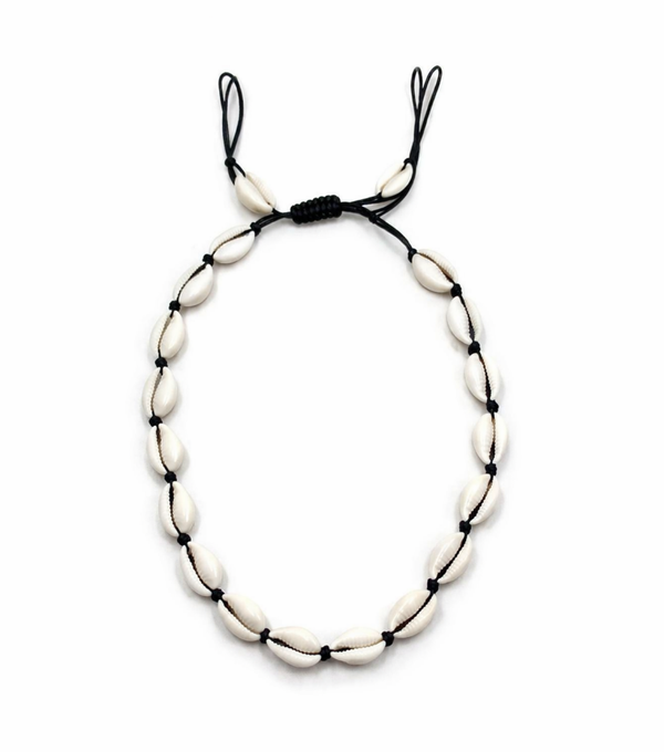 the shell jewel