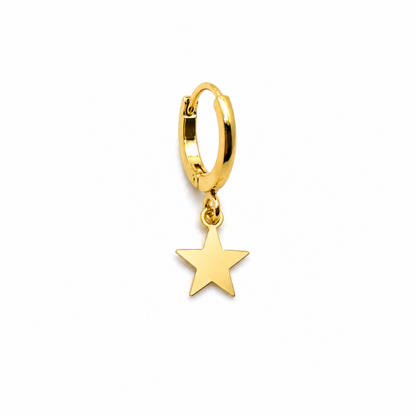 the star earring