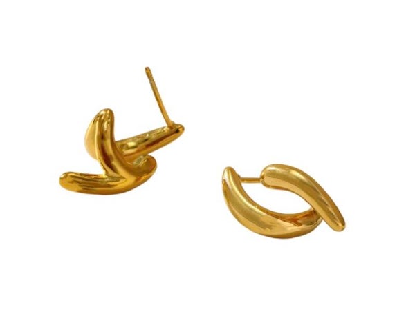 the noi earring