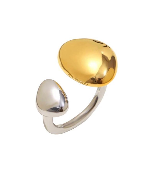 the slater ring