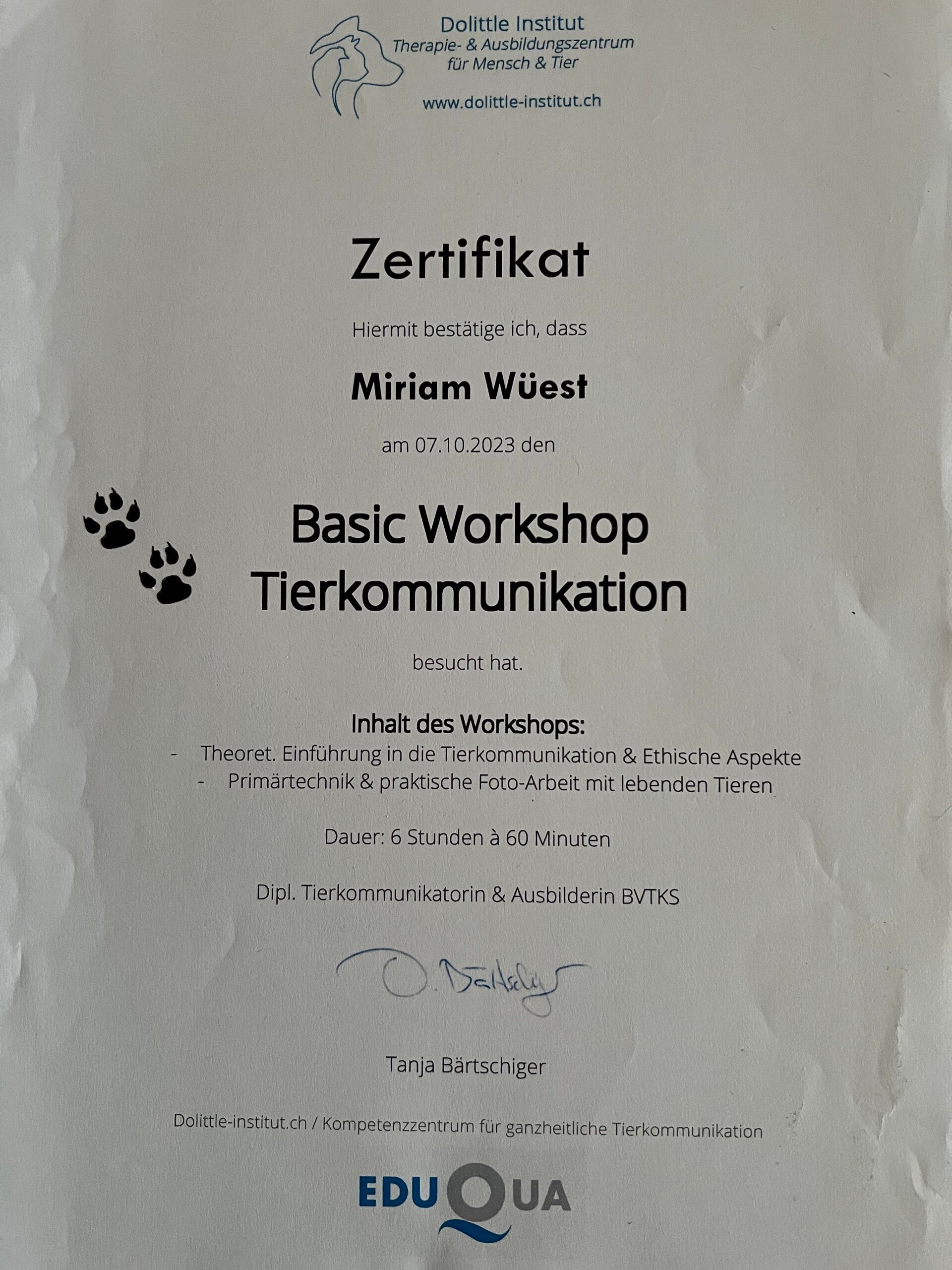 Tierkommunikation Zertifikat Basis