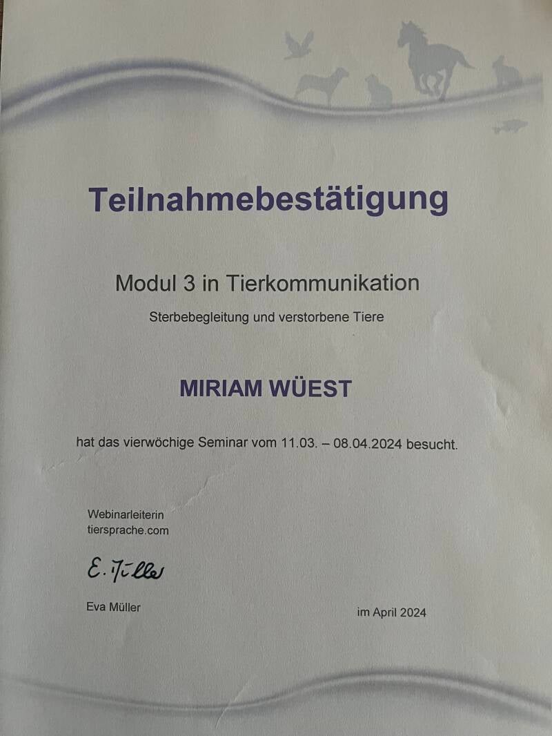 Tierkommunikation Sterbebegleitung / Verst.Tiere