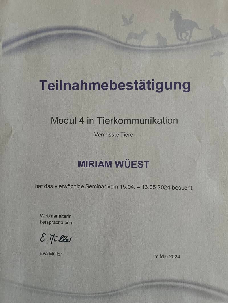 Tierkommunikation Vermisste Tiere