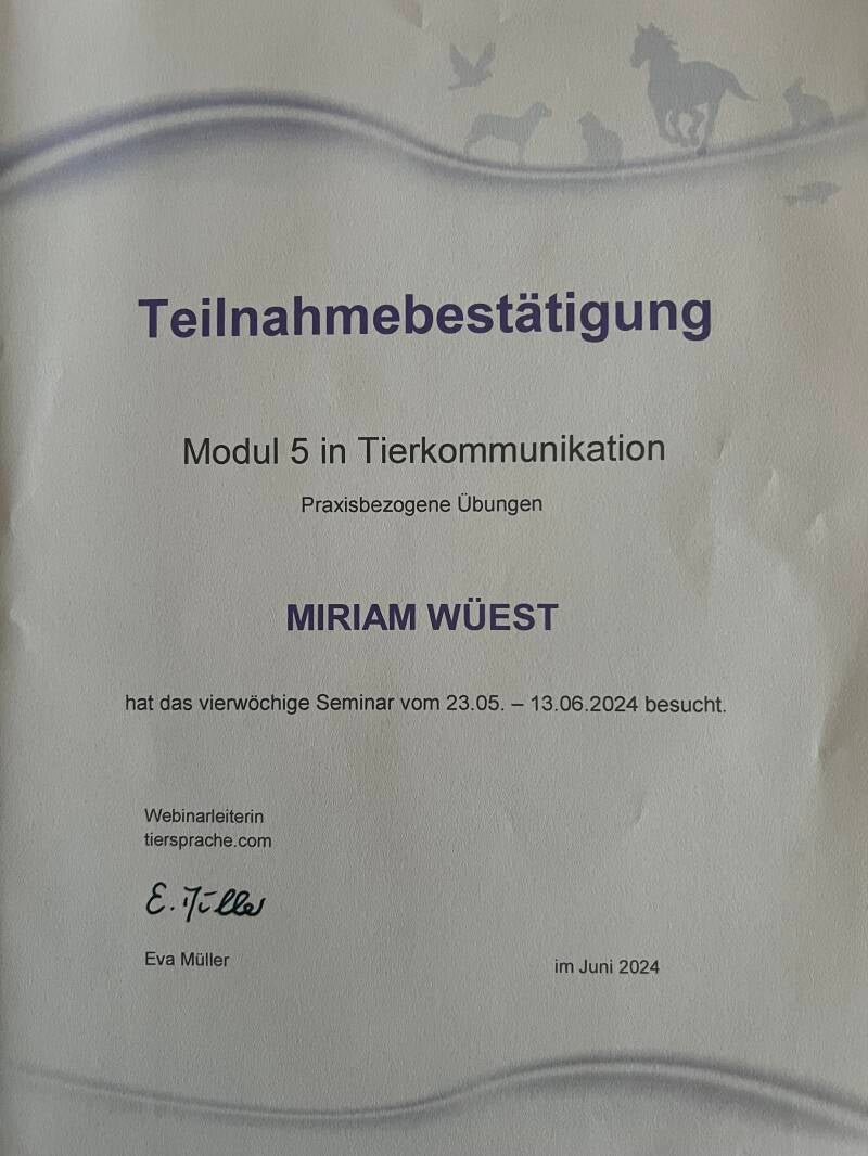 Tierkommunikation Praxisbezogene Übungen