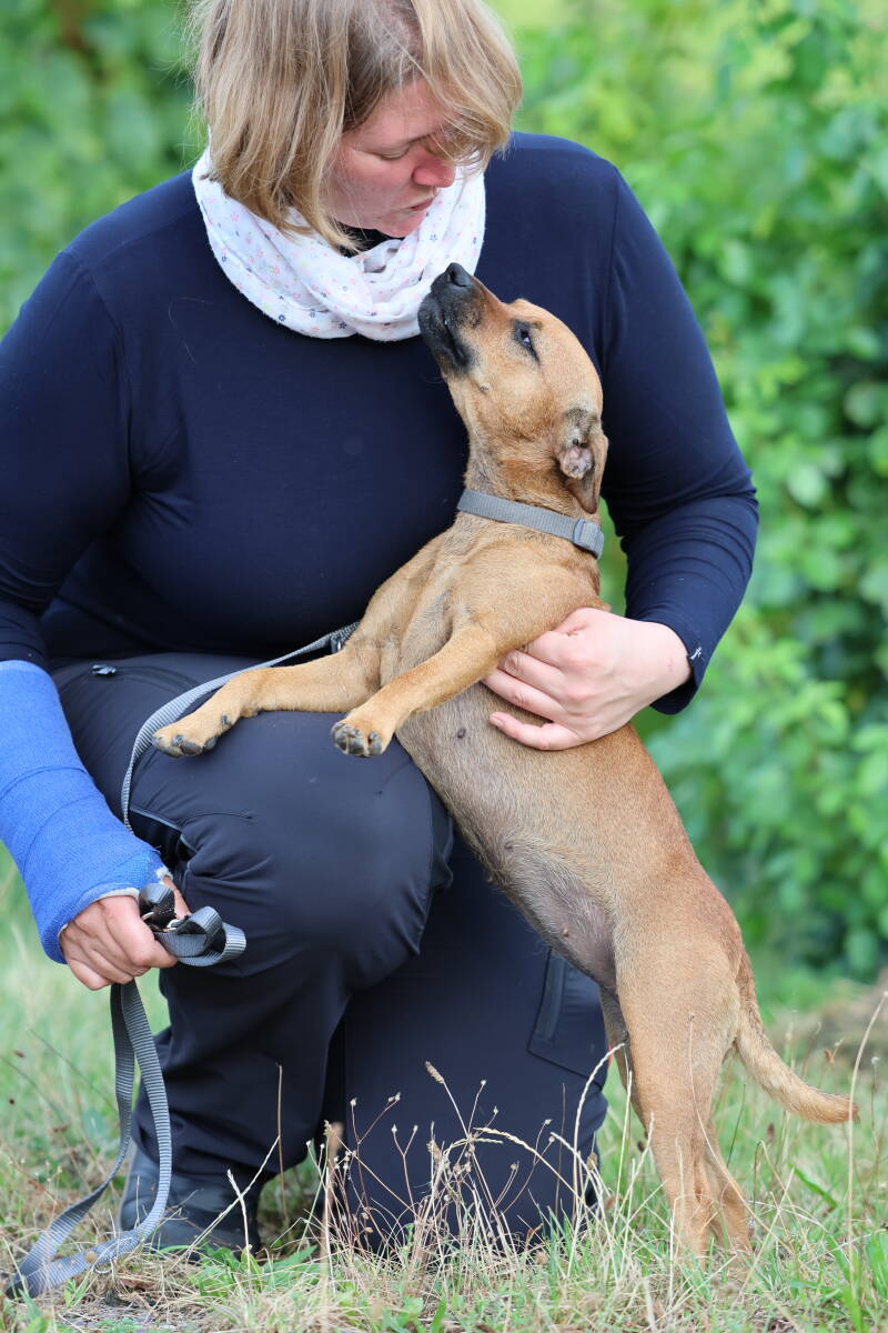 Bine´s Patterdale - Bine´s  Abby