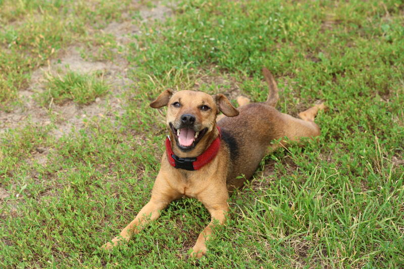 Bine´s Patterdale - Bine´s Alma