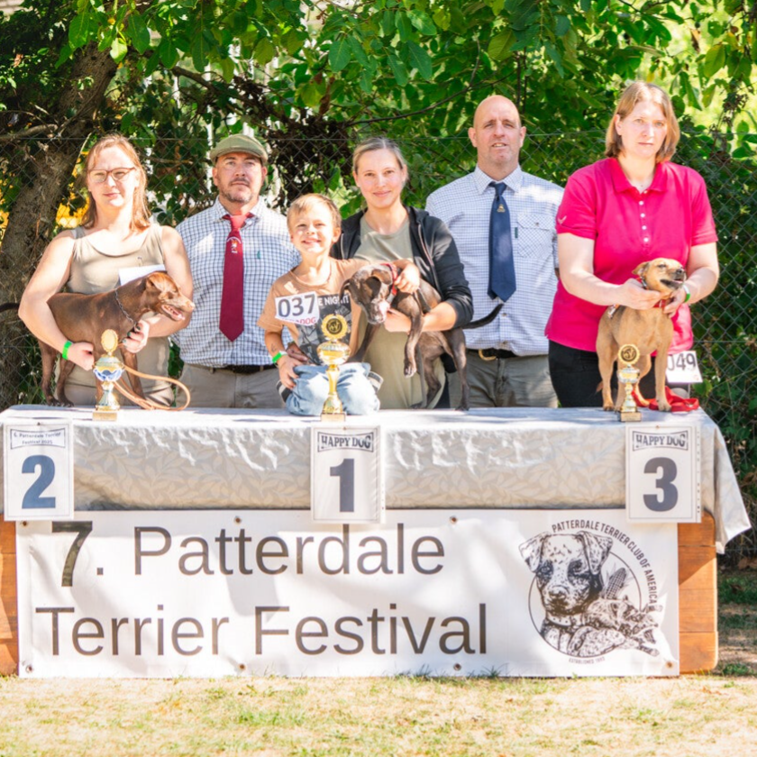 Bine´s Patterdale - Patterdale Terrier Festival