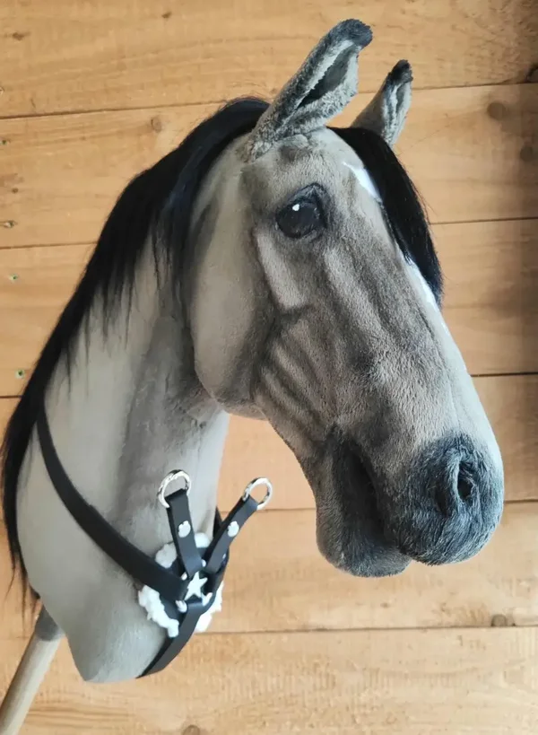 Martingal schwarz, hobbyhorsing Vorderzeug