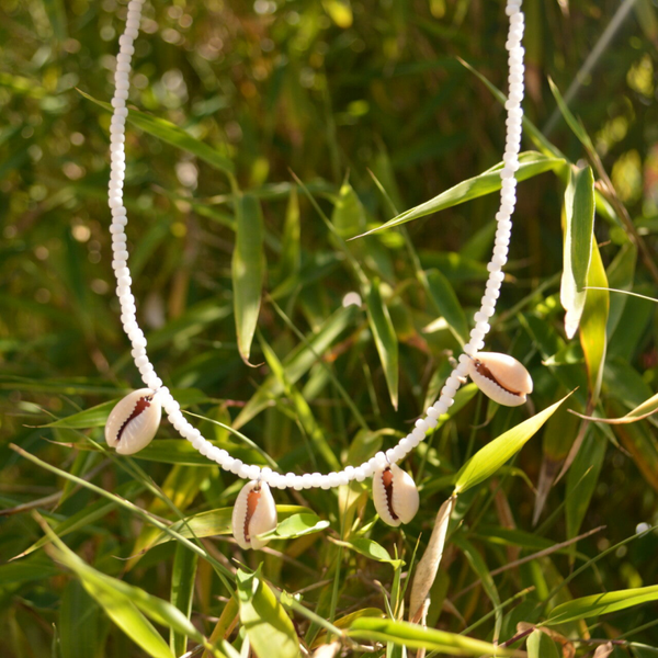 White Shells Necklace