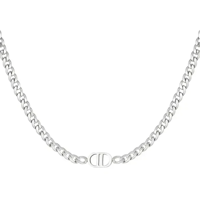 Necklace Zilver