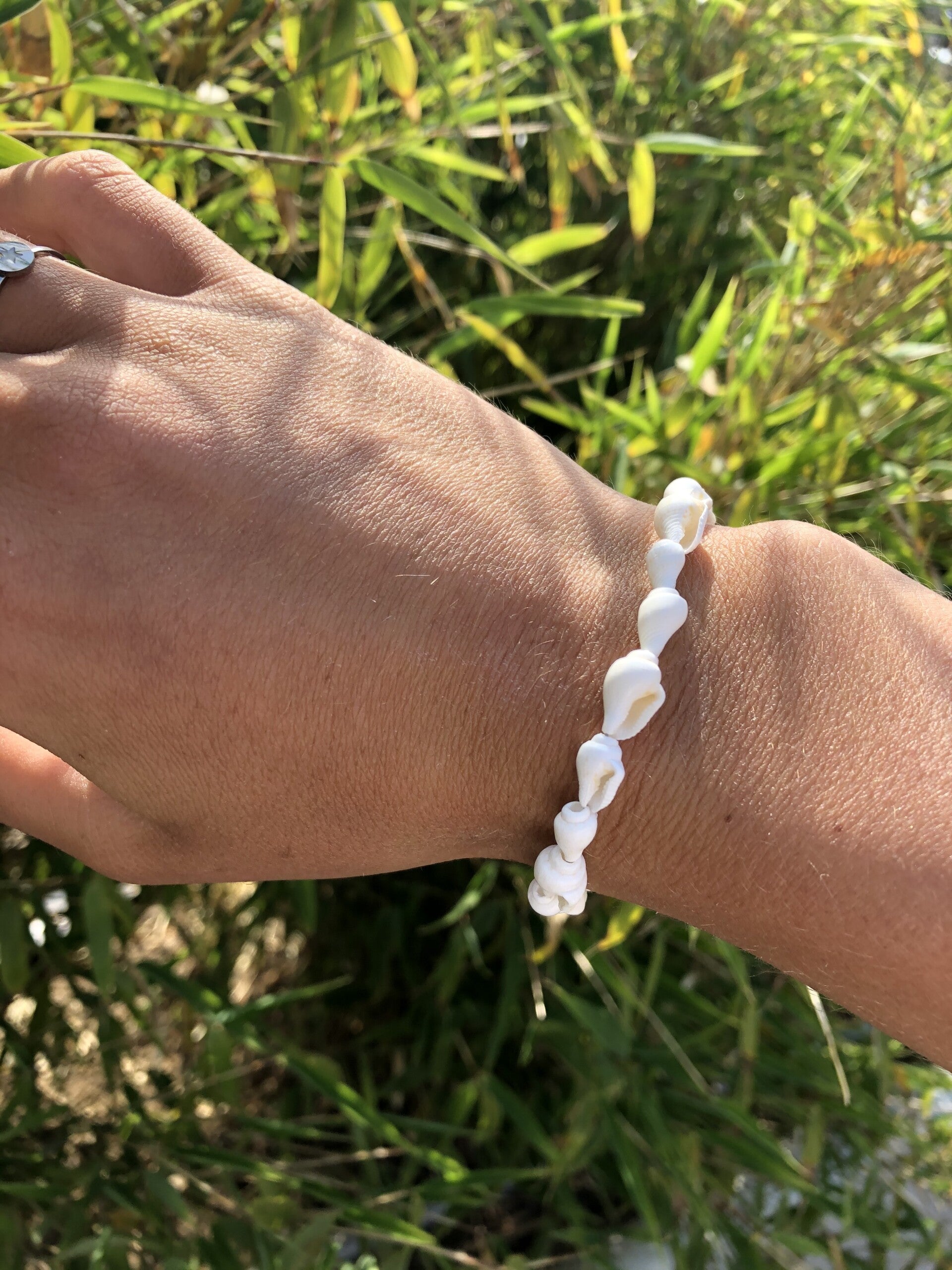 Trompet Shell Bracelet