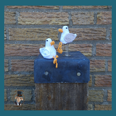 Wobbling Seagull