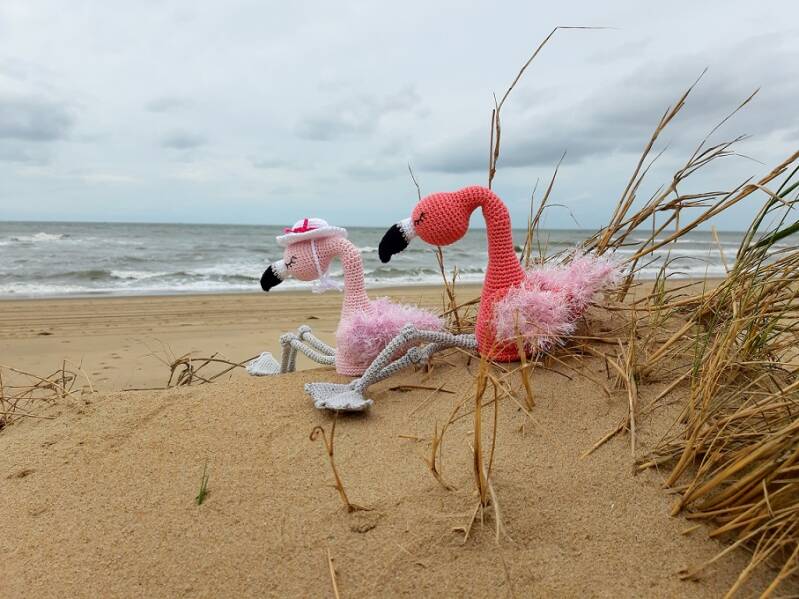 Faye Flamingo landscape