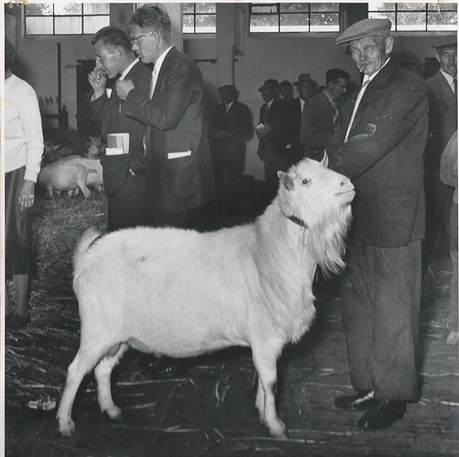 Grandfather Lucas with a goat
