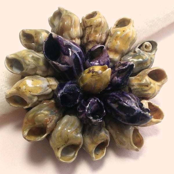 Outlet - Ronde schelpjes broche