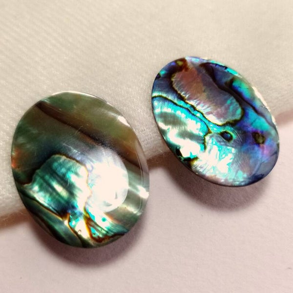 Ovale abalone oorbellen 80s