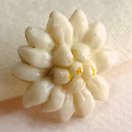 Outlet - Plastic edelweiss broche