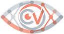 CLEARVIEW TECHNOLOGY LIMITED