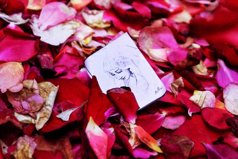 “Madre, flor blanca y cardenal” Ana Jiménez Gómez. Instagram: anamjimg