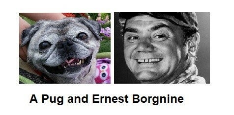 They really are all separated! Look at them! (click on the image to view them all)