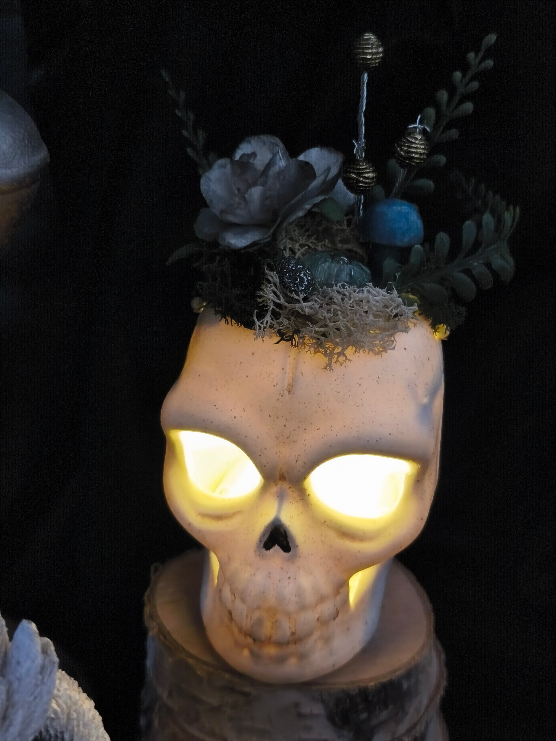 TASSIWORLD crâne 💀