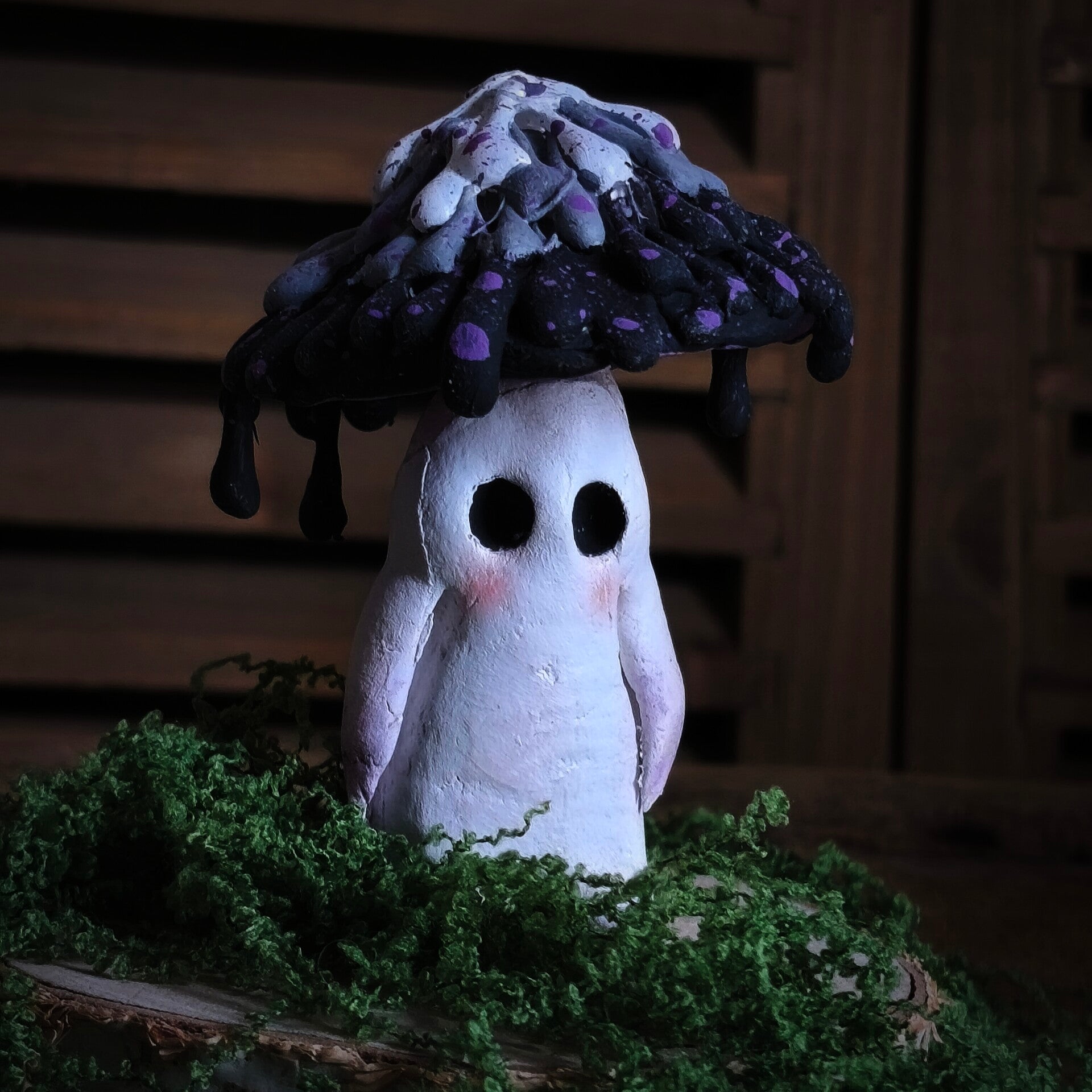 CHAMPOPOTES 🍄‍🟫