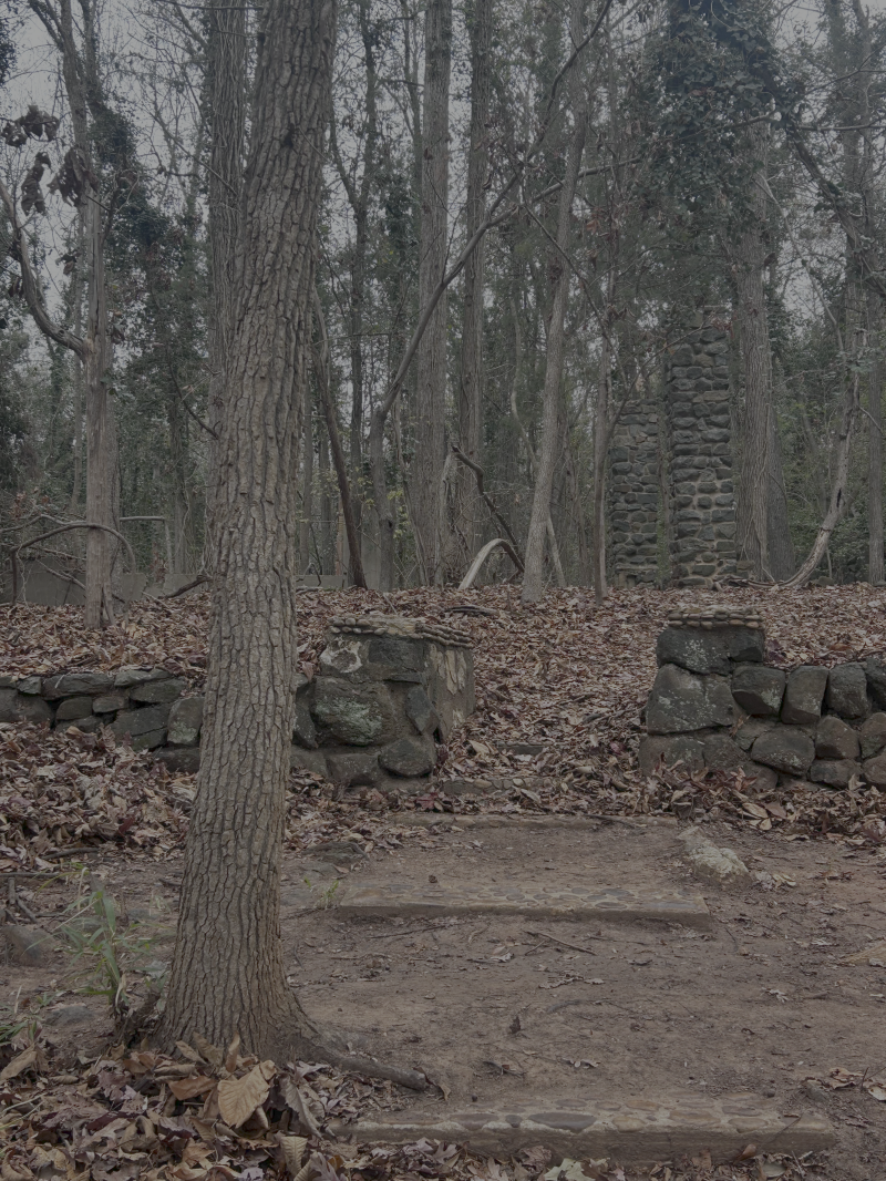 Hamilton Carhartt mansion ruins on Catawba River Rock Hill South Carolina