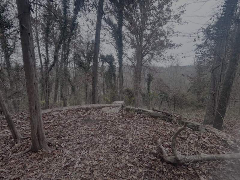 Hamilton Carhartt mansion ruins on Catawba River Rock Hill South Carolina