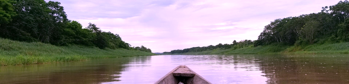 Amazonas Schamanismus Icaros Heilgesänge