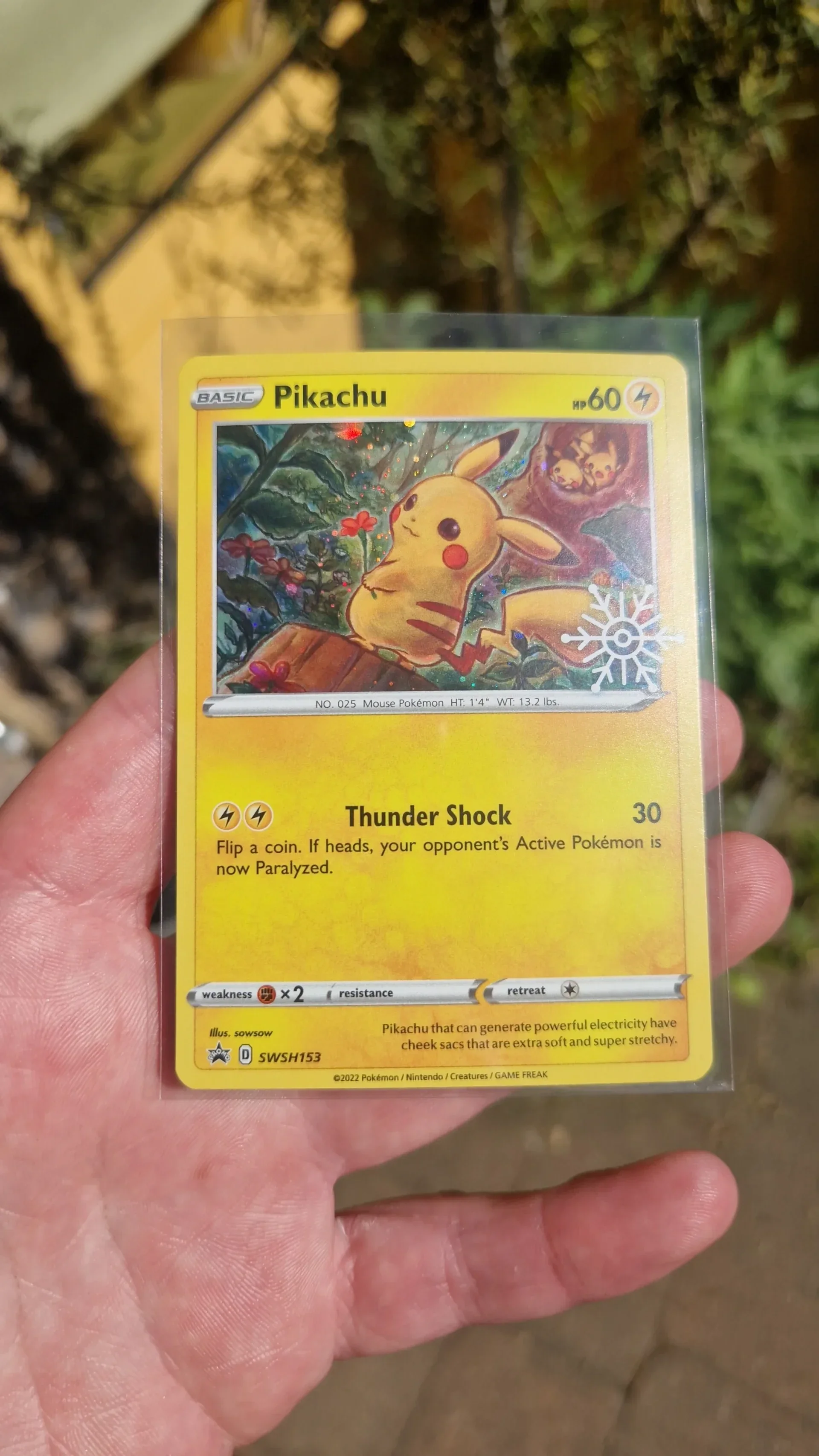 Pikachu Promo Pokemon kaarten kopen