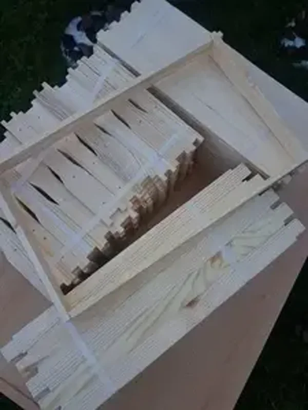 BeeHei Dadant Brut gerade Seiten in Teilen 50 Stück