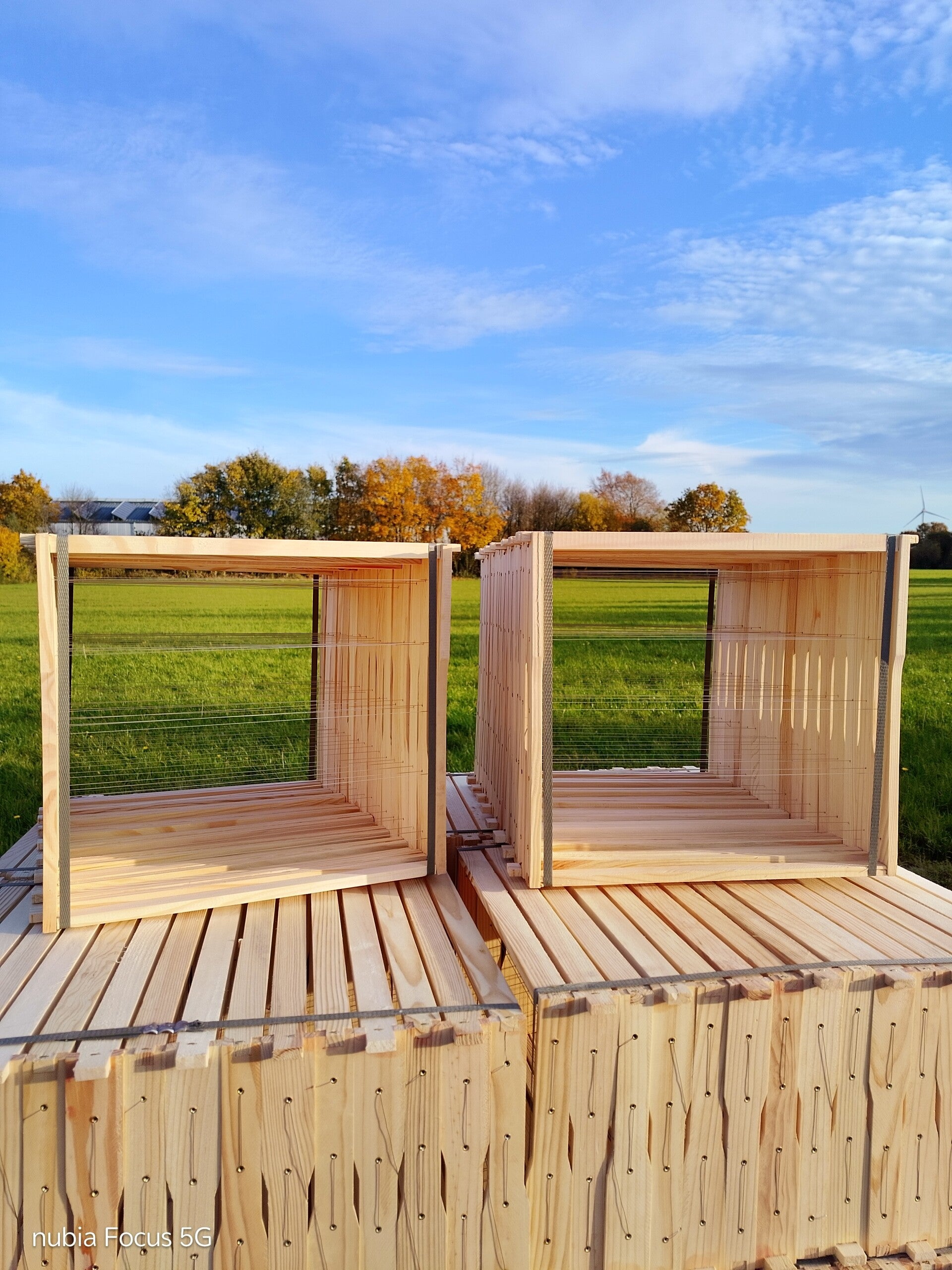 DNM 1,5 mit Hoffmann fertig gedrahtet