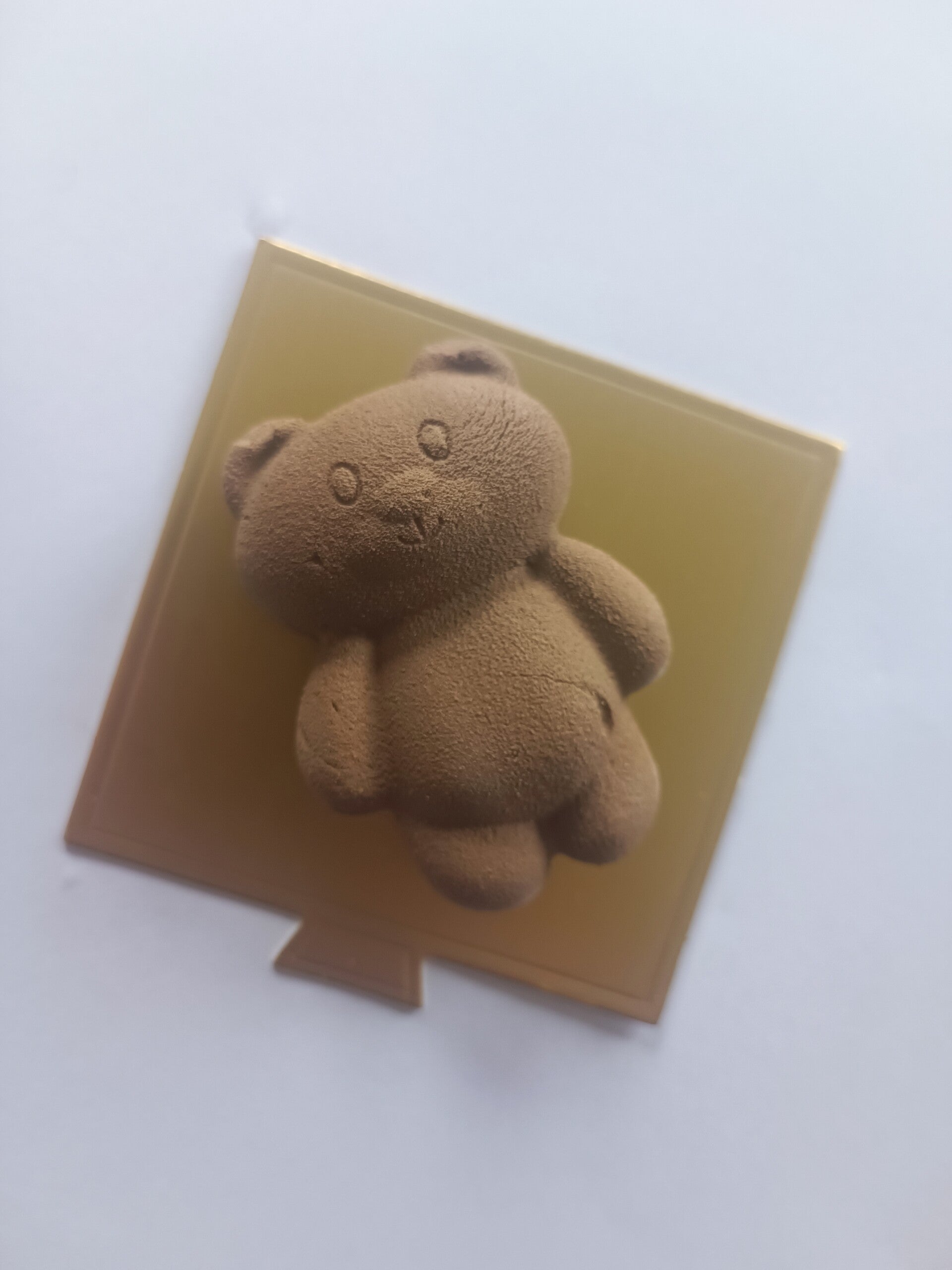 Petit ours 🧸