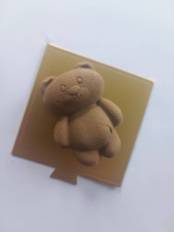 Petit ours 🧸