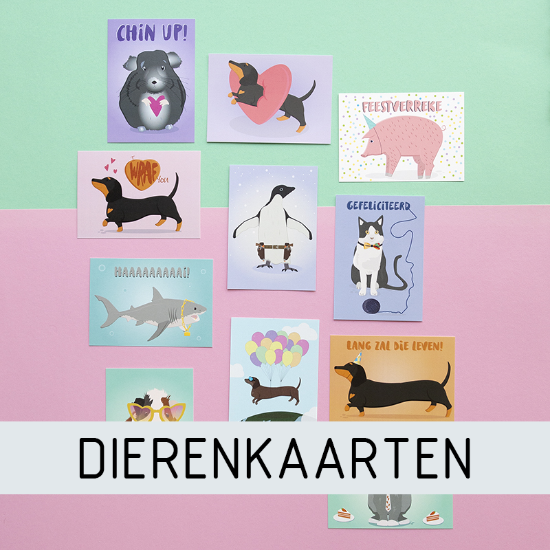 Verschillende dierenkaarten zoals het heuntje onze teckel, het feestvarken, poes, carry de cavia, konijn, haai. 