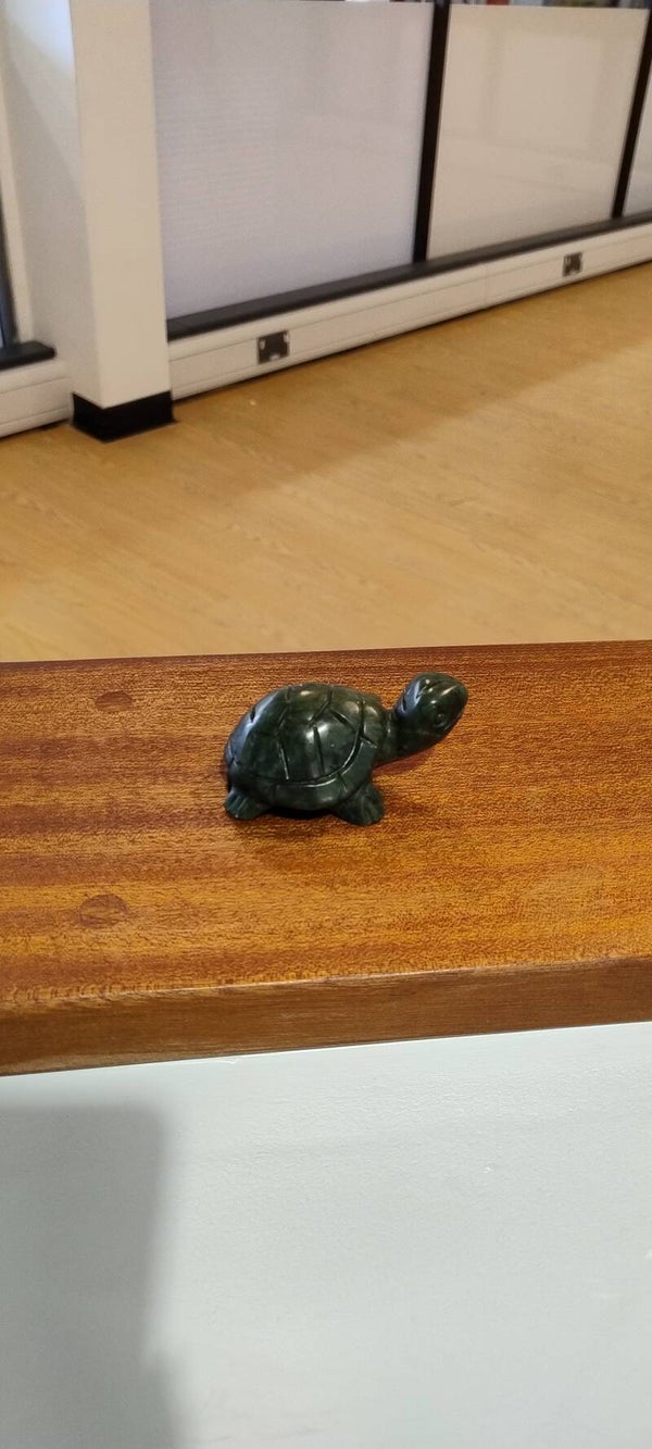 Jade Turtle