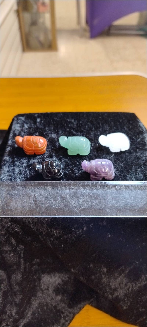 Mini Tortoise