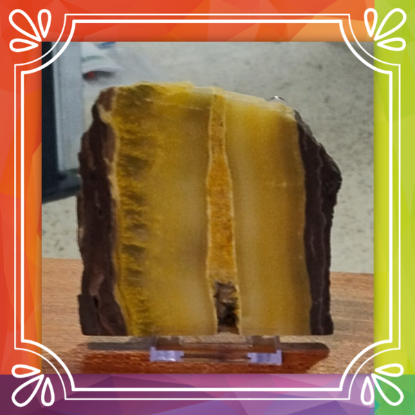 Bumble Bee Jasper Slab