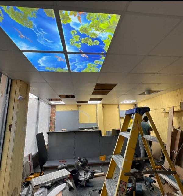 Sky panel led lights