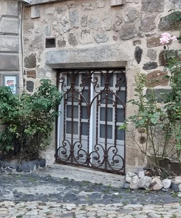 Grille de sécurité élégante en fer forgé avec rosaces