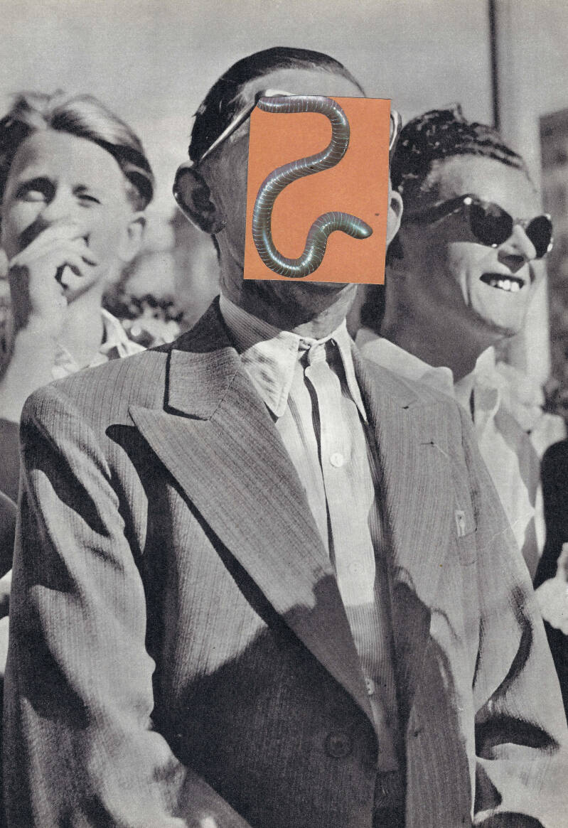 48-1-standard.jpg