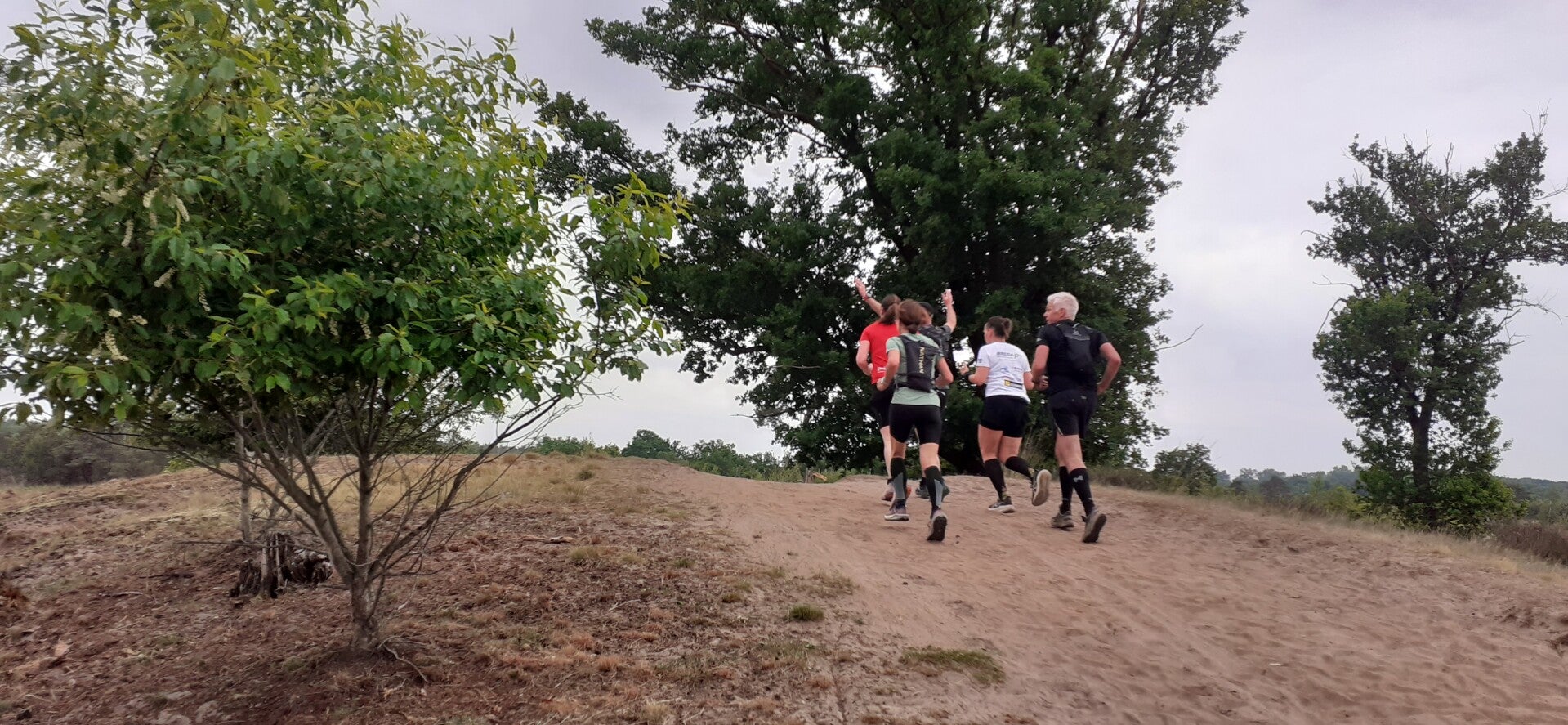 social trail: kampina en de kleine aa | www.trailrunnersbrabant.nl